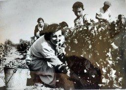 Photographie de Clotaire Marcel PAUMIER