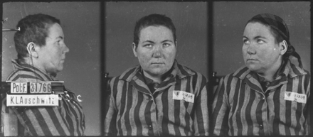 Portrait documenté de Olga GODEFROY